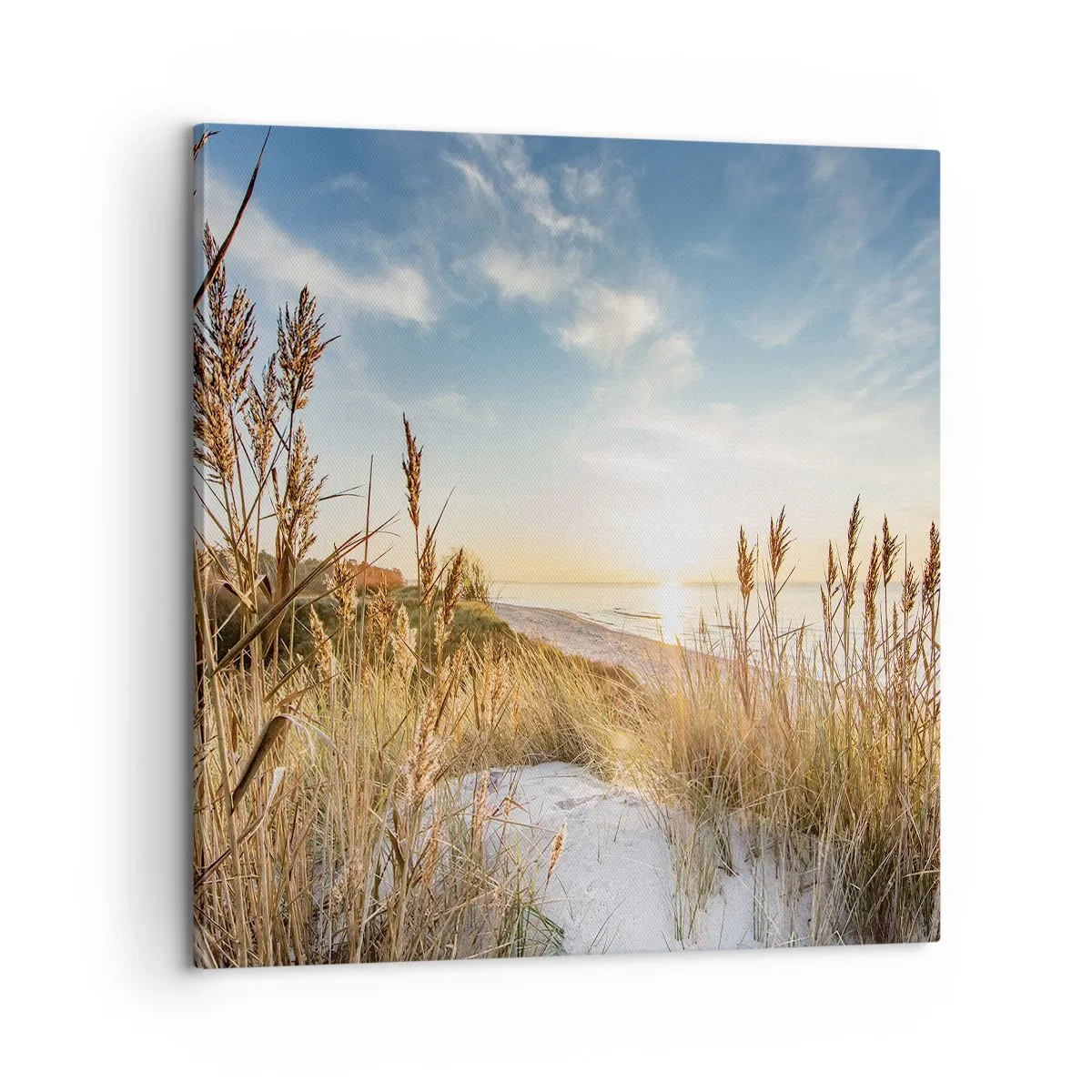 Obraz na plátně - Severní pláž - 60x60 cm