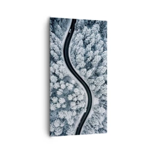 Obraz na plátně - Zimním lesem - 65x120 cm