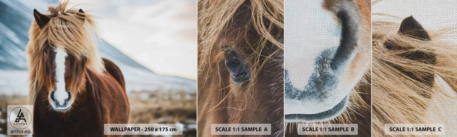 Vzor Fototapety Premium Canvas - Cítíš svobodu? - Kůň, Příroda, Zvířata - 100x30 cm