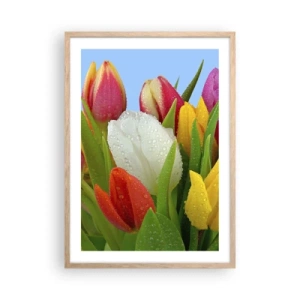 Plakát v rámu světlý dub - Květinová duha v kapkách rosy - 50x70 cm