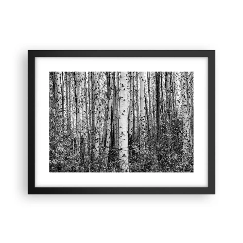 Plakát v černém rámu - Březová kolonáda - 40x30 cm