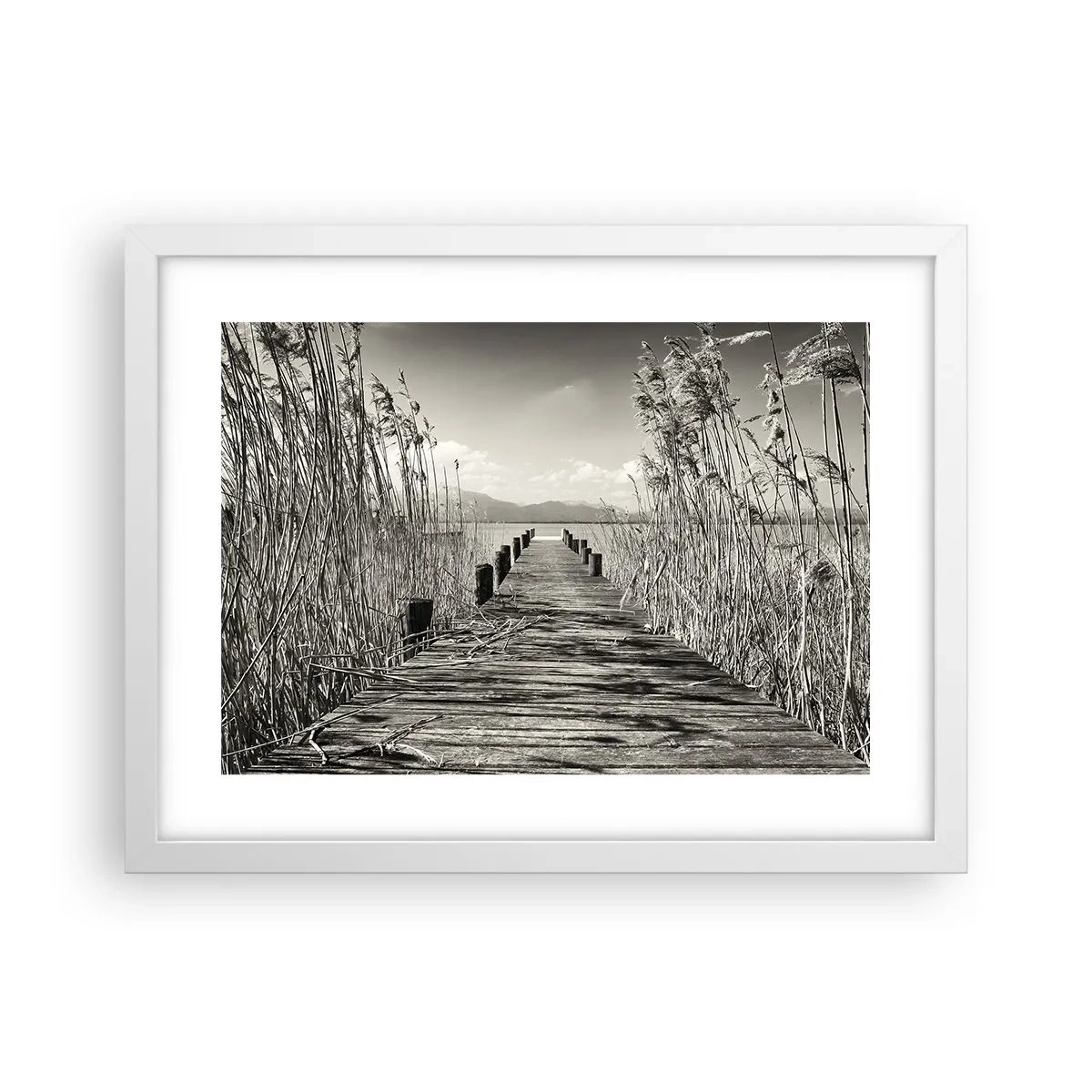 Plakát v bílém rámu - V ústraní travin - 40x30 cm