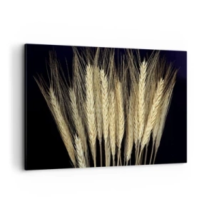 Obraz na plátně - Rustikální magie - 120x80 cm