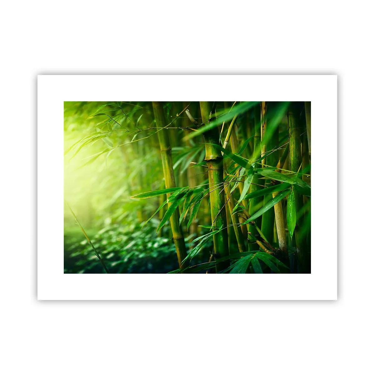 Plakát - Poznat samotnou zeleň - 40x30 cm