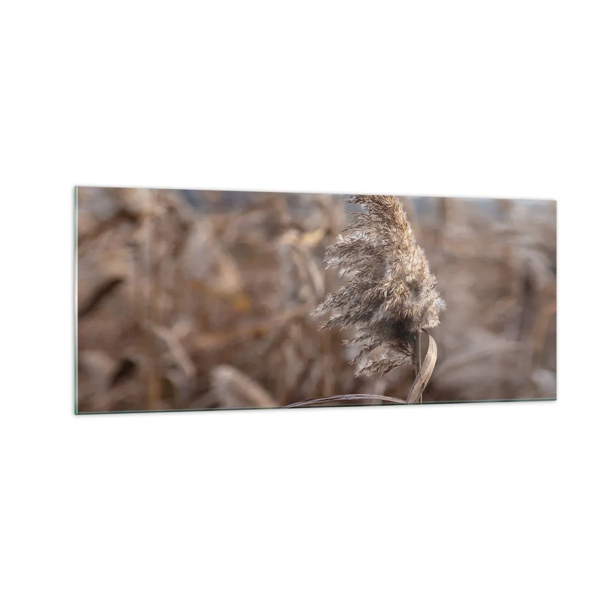 Obraz na skle - Čas odletět s větrem - 100x40 cm