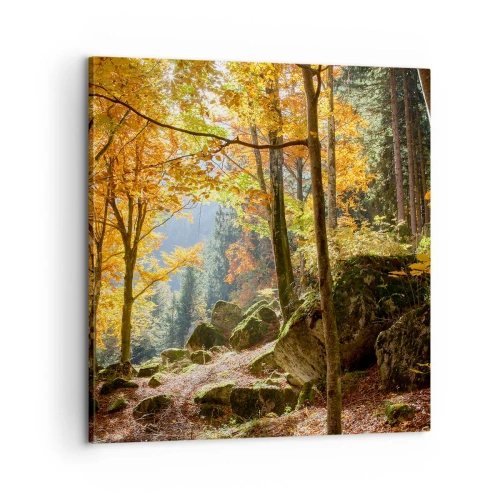 Obraz na plátně - Čas na odpočinek - 60x60 cm