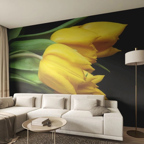Fototapeta Samolepicí Deluxe Sticker - Vznikly z čistého slunce - Květiny, tulipány, Kytice květin - 100x70 cm