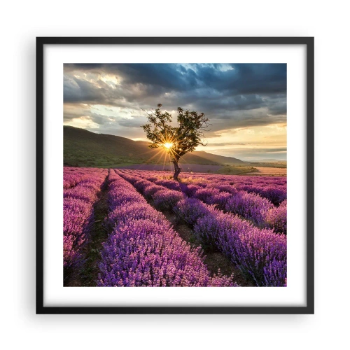 Plakát v černém rámu - Aroma v barvě lila - 50x50 cm