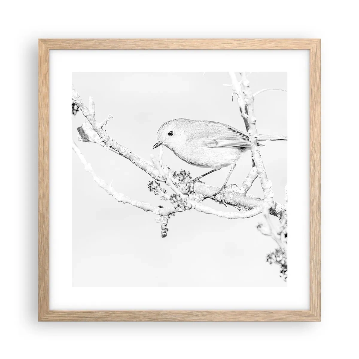 Plakát v rámu světlý dub - Zimní ráno - 40x40 cm