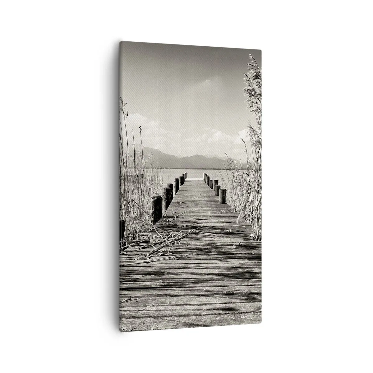 Obraz na plátně - V ústraní travin - 55x100 cm