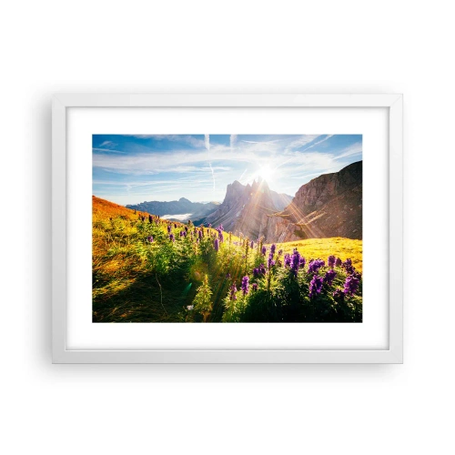 Plakát v bílém rámu - Tajemný život bylin - 40x30 cm