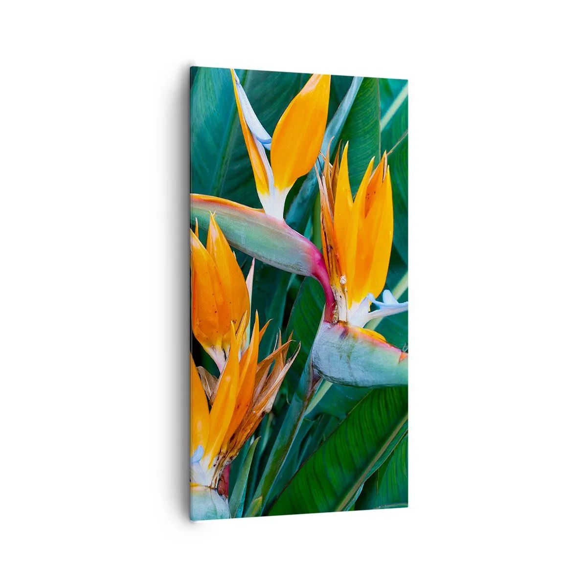 Obraz na plátně - Je to květina, nebo pták? - 65x120 cm