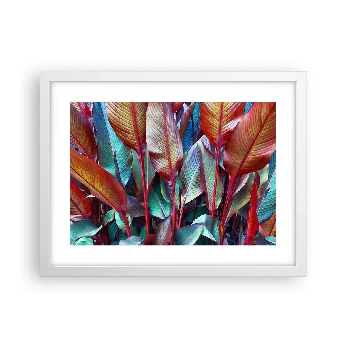 Plakát v bílém rámu - Barevná houština - 40x30 cm