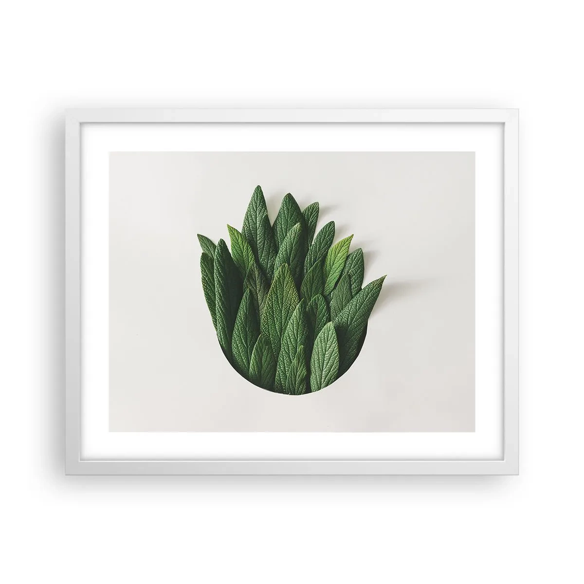 Plakát v bílém rámu - Neukojitelná zvědavost - 50x40 cm