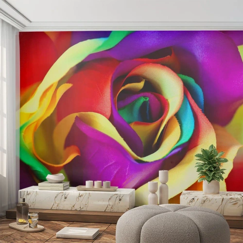 Fototapeta Premium Canvas - To není možné - Abstrakce, Květ, Barevná růže - 300x210 cm