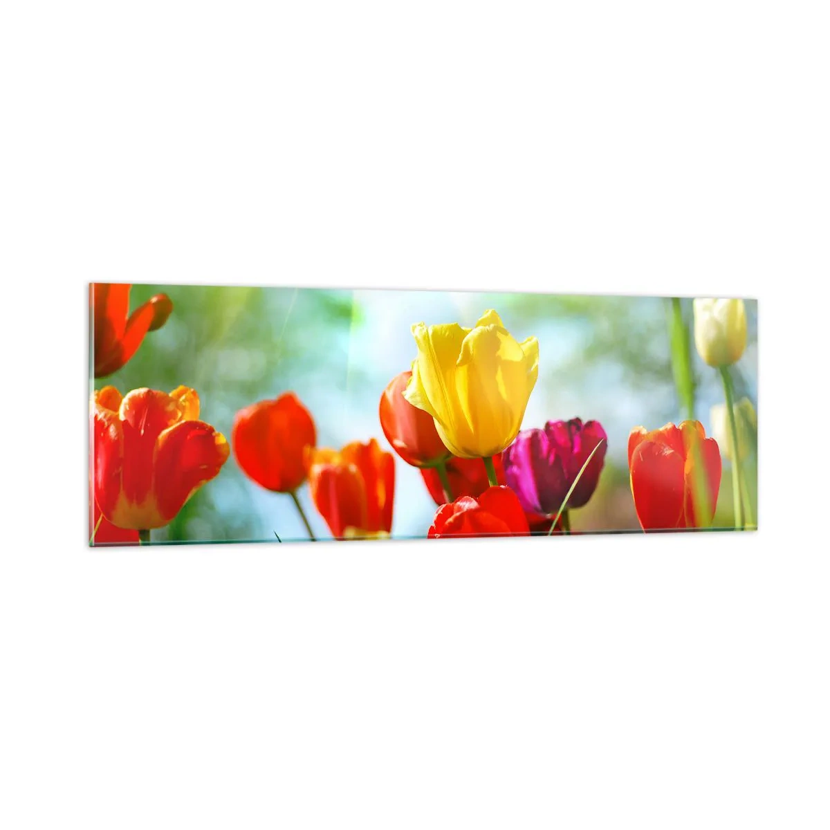 Obraz na skle - Všechny barvy slunce - 90x30 cm