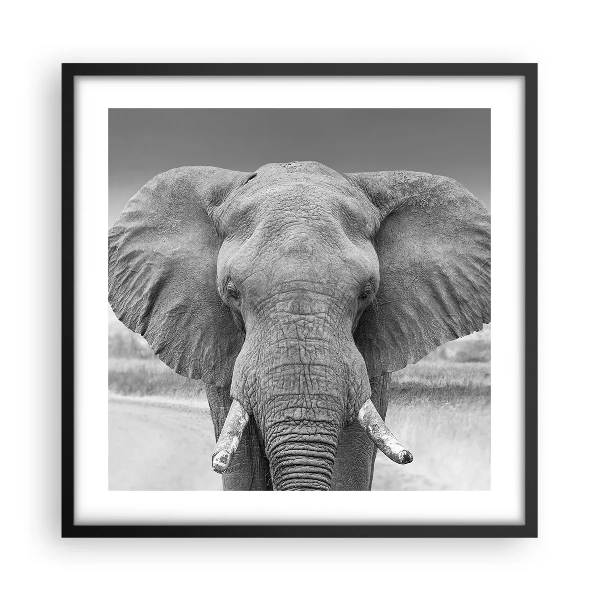 Plakát v černém rámu - Vítejte v mém světě - 50x50 cm