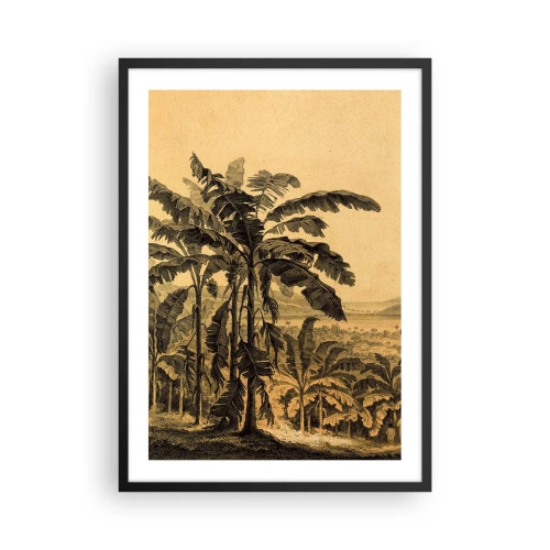 Plakát v černém rámu - Ilustrace palem na pozadí tropické krajiny - 50x70cm - V koloniálním stylu - Moderní nástěnná dekorace do obývacího pokoje a ložnice ARTTOR