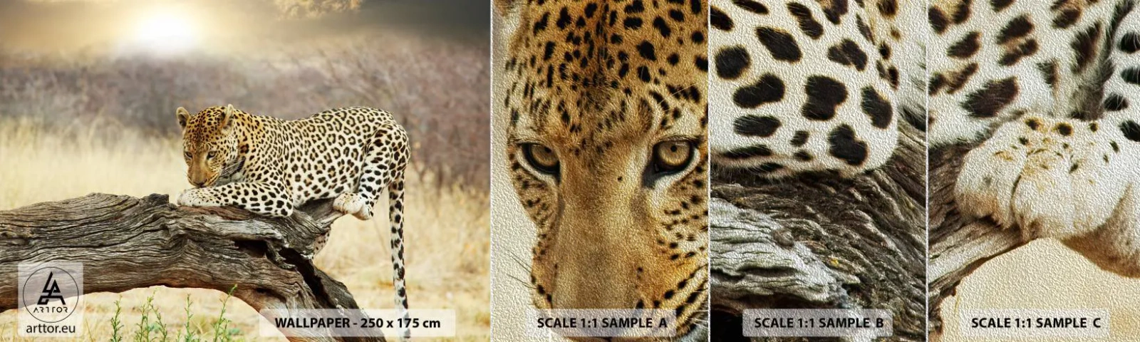 Vzor Fototapety Premium Sand - Chodím vlastními cestami - Zvířata, leopard, Afrika - 100x30 cm