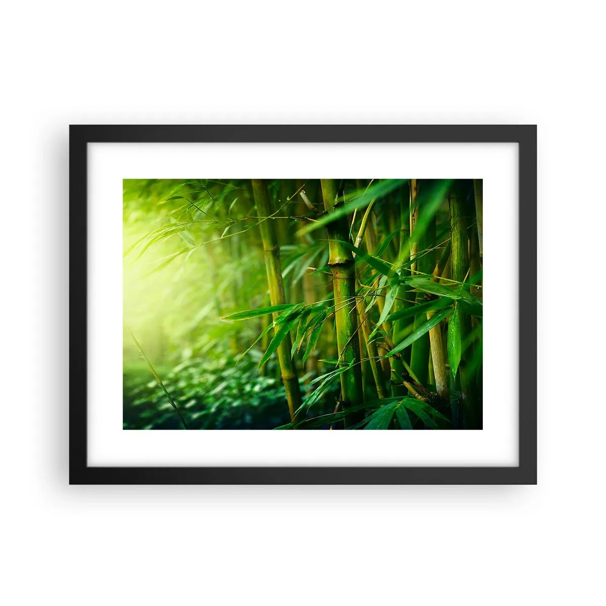 Plakát v černém rámu - Poznat samotnou zeleň - 40x30 cm