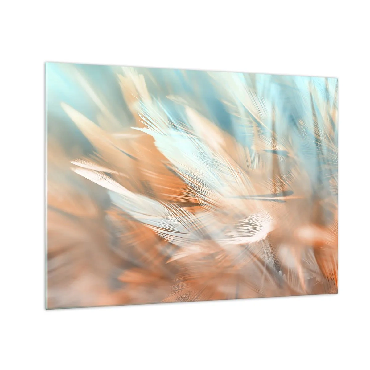 Obraz na skle - Jemné peří v pastelových odstínech tyrkysové a broskvové - 70x50cm - V krajině něhy - Moderní nástěnná dekorace do obývacího pokoje a ložnice ARTTOR