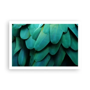 Plakát - Přesnost papouščí povahy - 91x61 cm