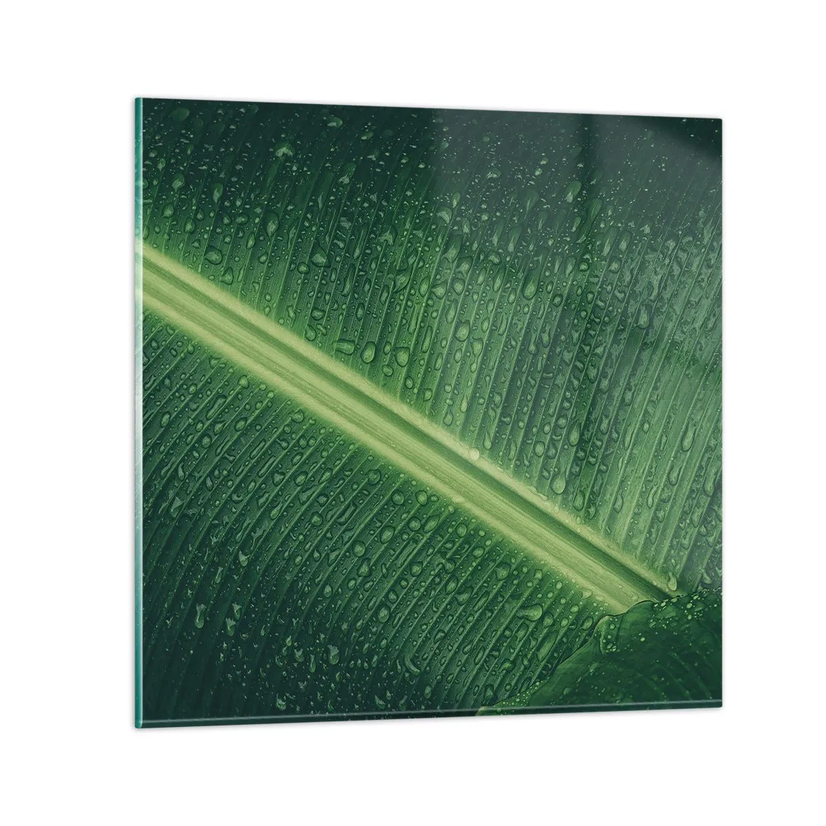 Obraz na skle - Struktura zelené - 70x70 cm