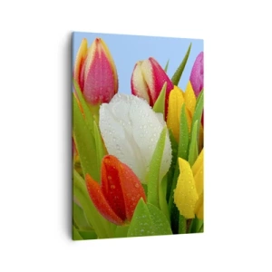 Obraz na plátně - Květinová duha v kapkách rosy - 50x70 cm