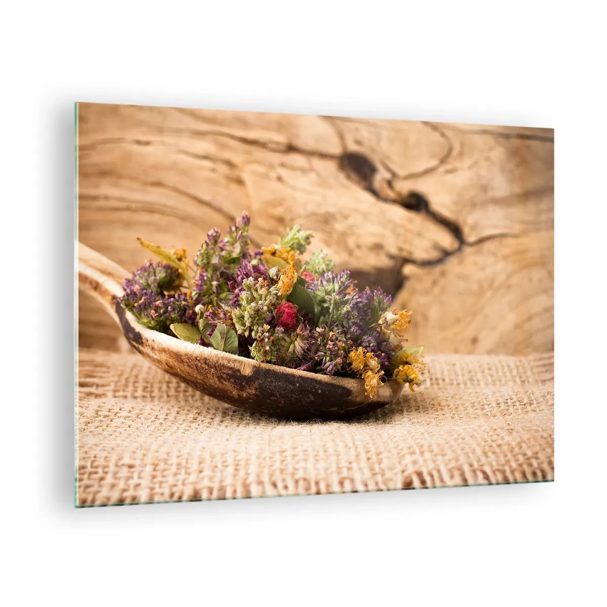 Obraz na skle - Sušené bylinky v dřevěné lžíci na rustikálním pozadí - 70x50cm - Barevné kvítí a voňavé bylinky - Moderní nástěnná dekorace do obývacího pokoje a ložnice ARTTOR