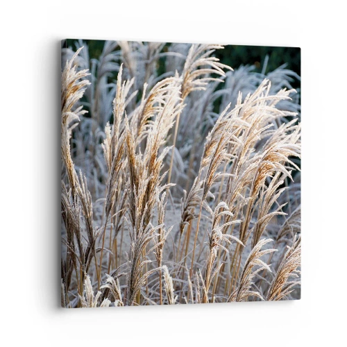 Obraz na plátně - Mrazem pokryté - 30x30 cm