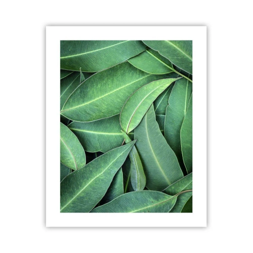 Plakát - Šťavnaté a svěží - 40x50 cm