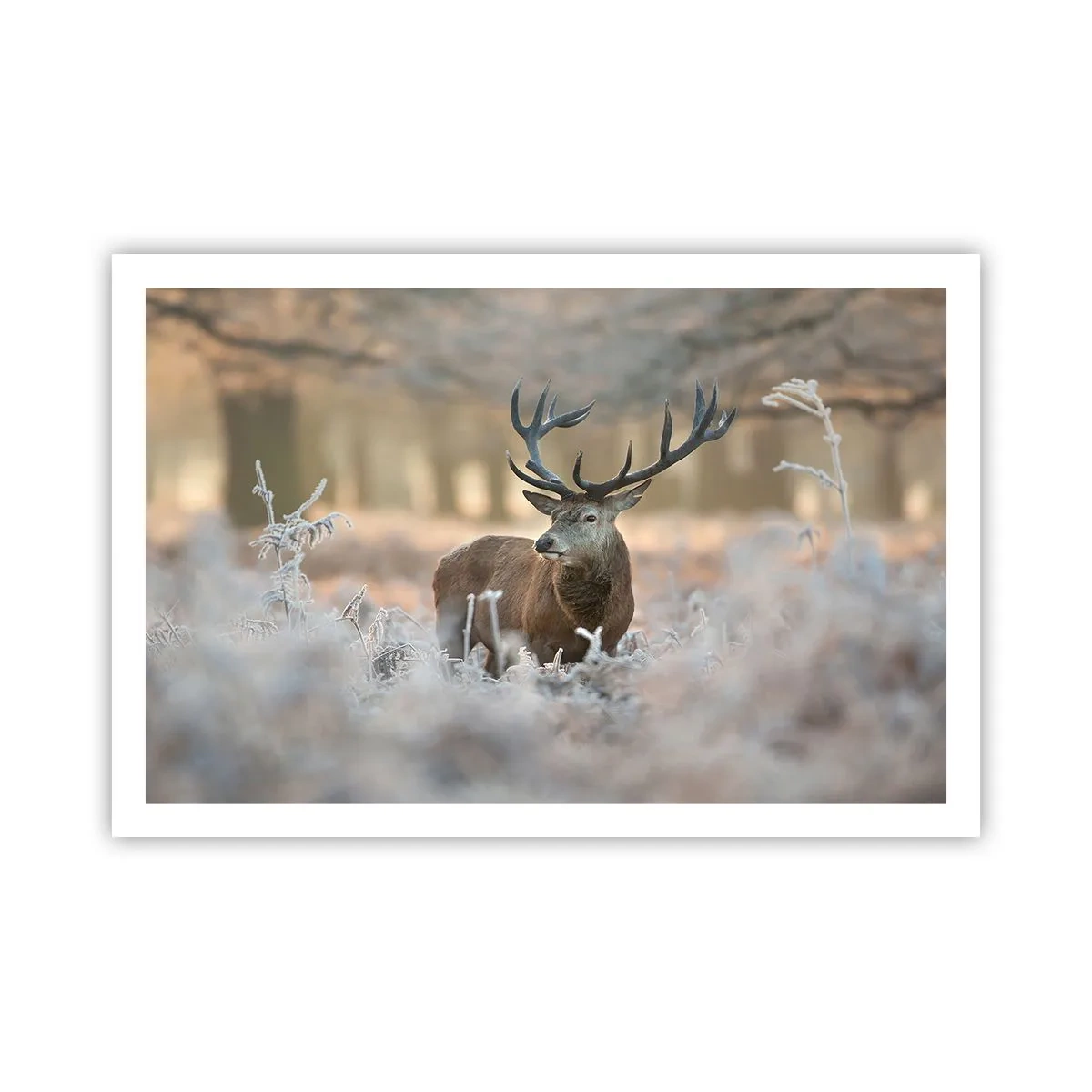 Plakát - Svěží ráno - 91x61 cm