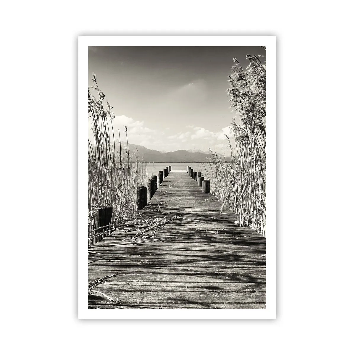 Plakát - V ústraní travin - 70x100 cm