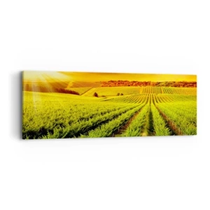 Obraz na plátně - Pod australským sluncem - 90x30 cm