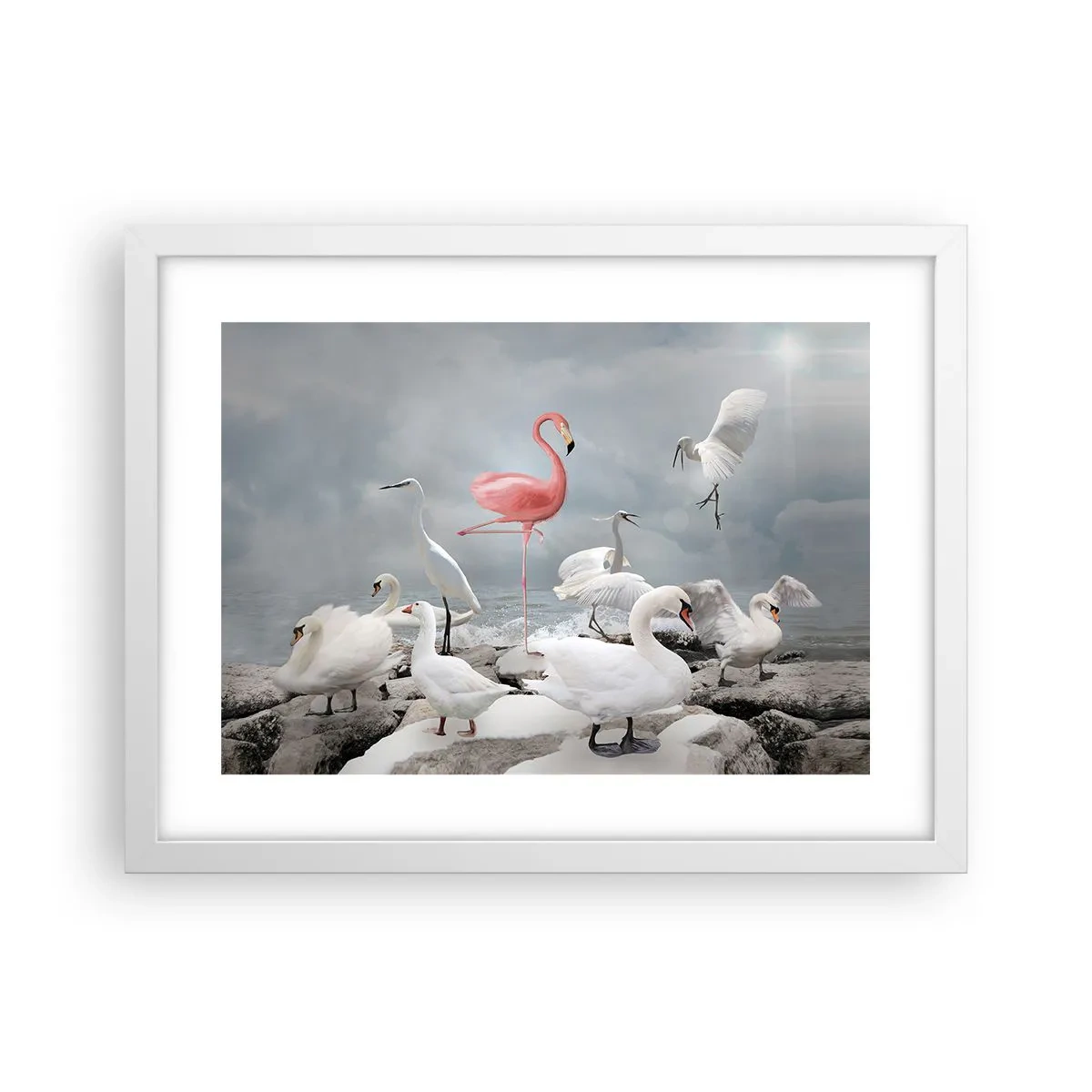Plakát v bílém rámu - Kde jsem se tu vzal? - 40x30 cm