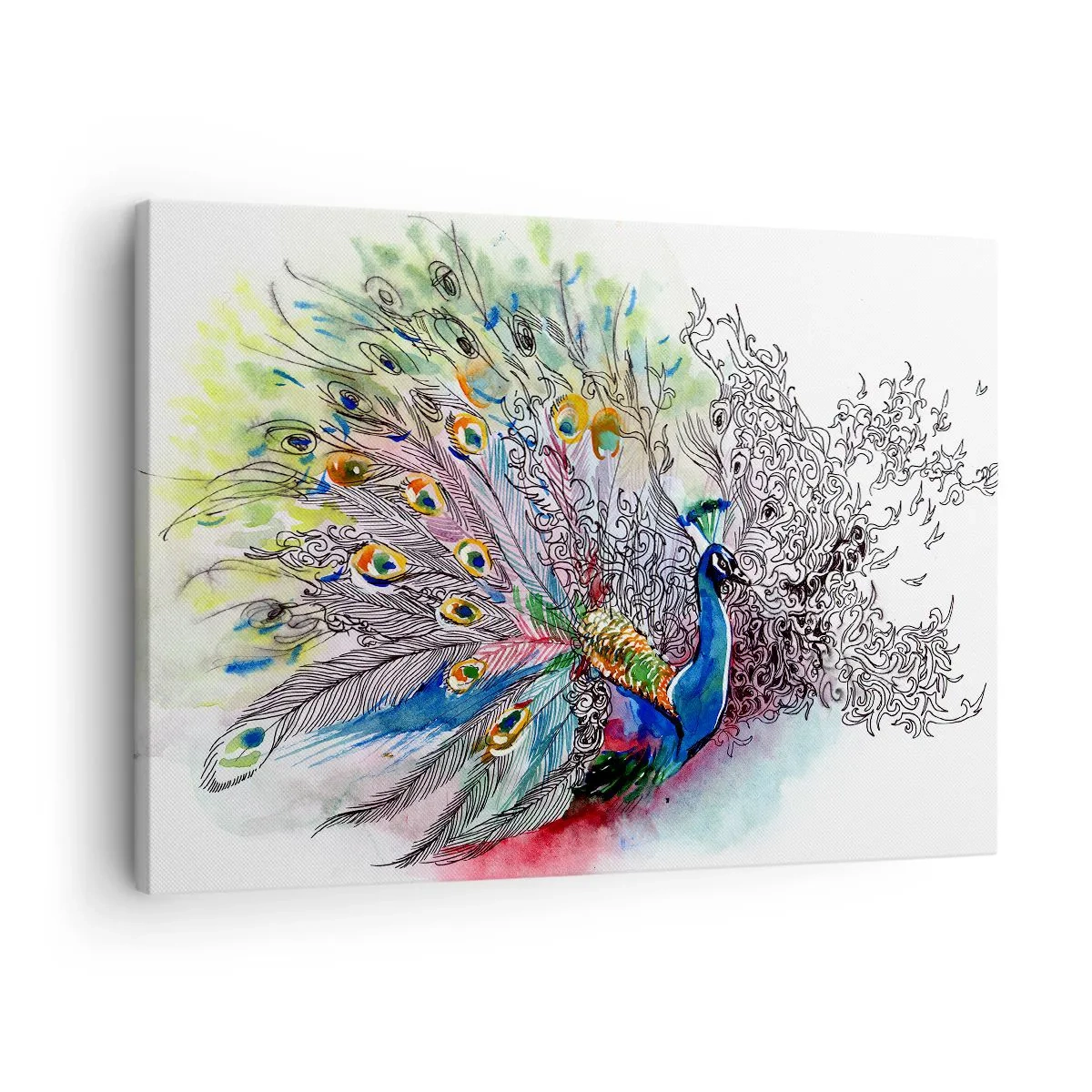Obraz na plátně - Páv v barevném akvarelovém stylu s abstraktním peřím - 70x50cm - S pýchou proti šedi  - Moderní nástěnná dekorace do obývacího pokoje a ložnice ARTTOR