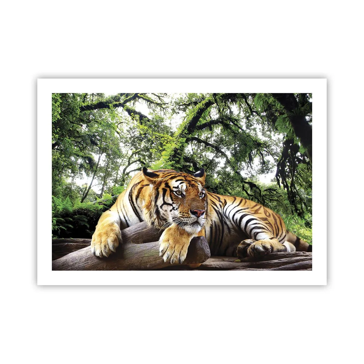 Plakát - S úctou - 70x50 cm