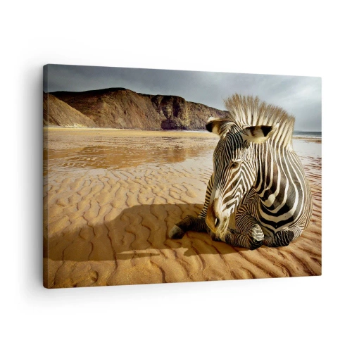 Obraz na plátně - Zebra odpočívající na písečné pláži s útesy v pozadí. - 70x50cm - Hodíme se k sobě - Moderní nástěnná dekorace do obývacího pokoje a ložnice ARTTOR