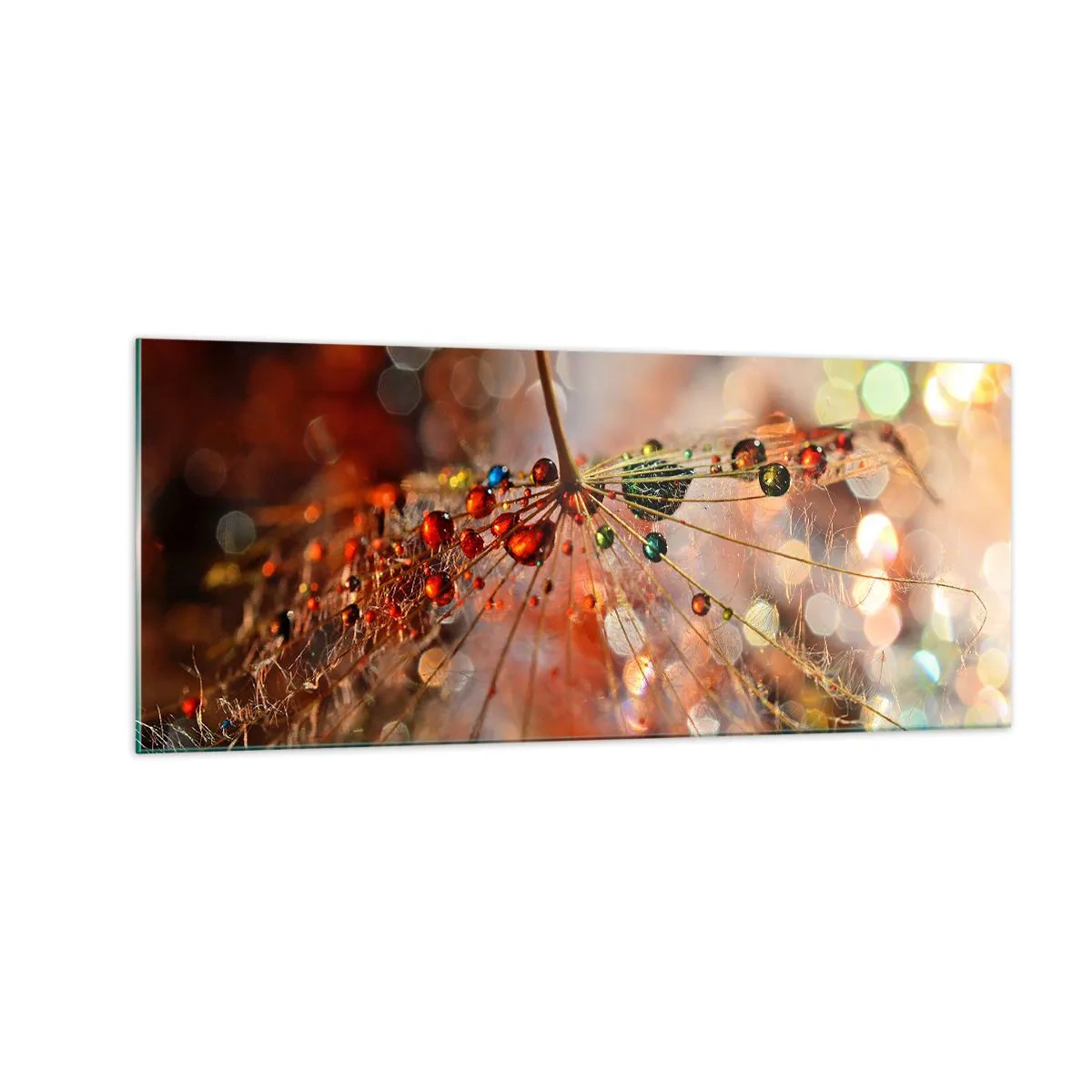 Obraz na skle - Navlečeno na pavučinu - 100x40 cm