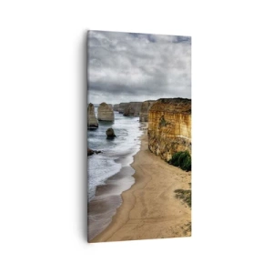 Obraz na plátně - Drsná krása - 55x100 cm