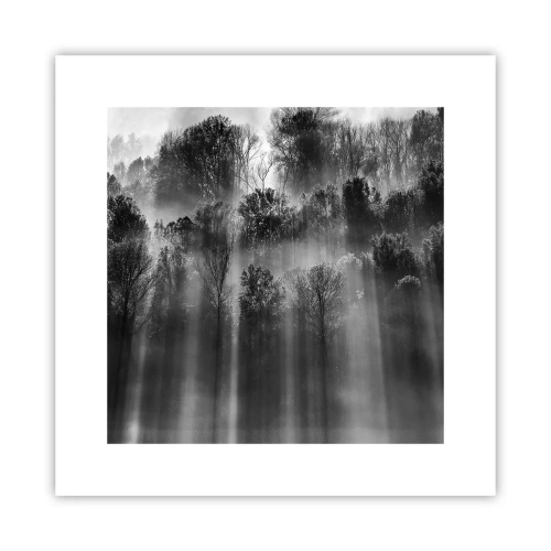 Plakát - V paprscích světla - 30x30 cm