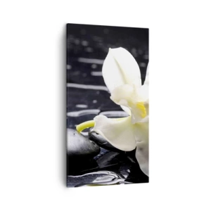 Obraz na plátně - Studie v černé a bílé - 45x80 cm