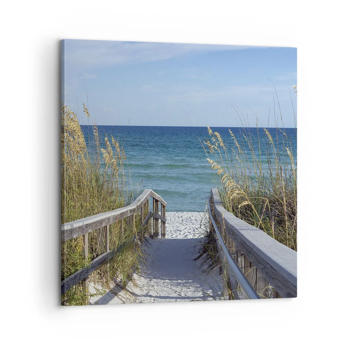 Obraz na plátně - Na slunci, ve větru - 60x60 cm