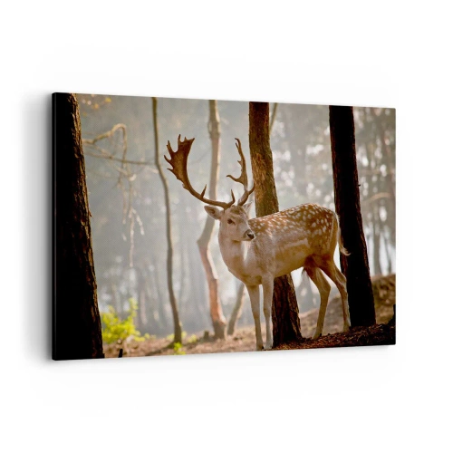 Obraz na plátně - Světlo mládí - 120x80 cm