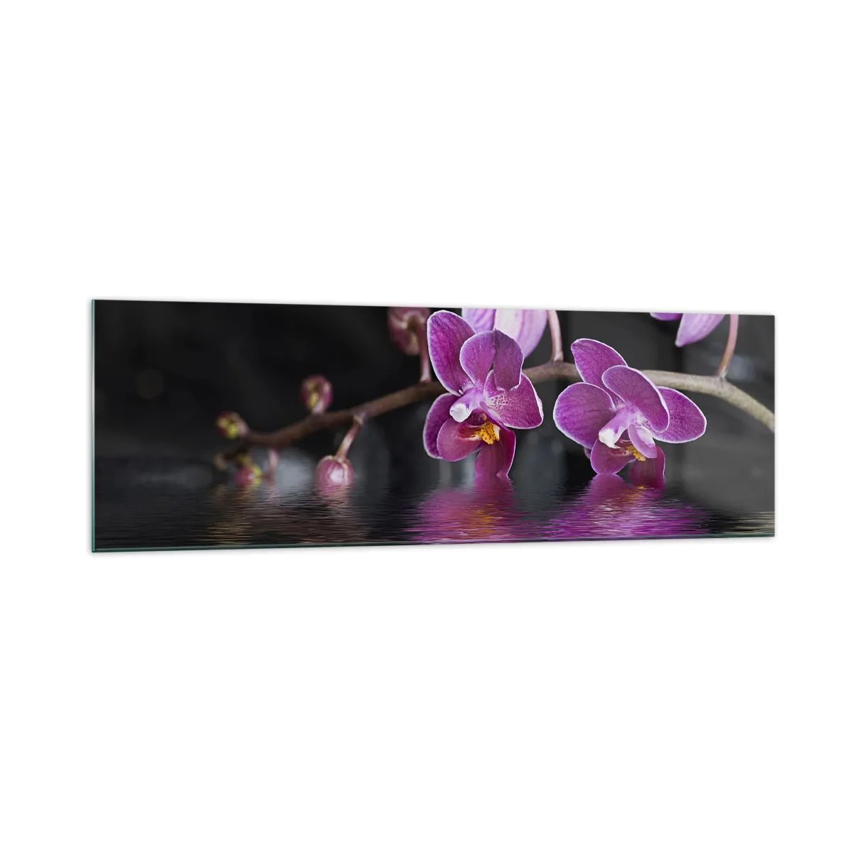 Obraz na skle - Liliový odraz krásy - 160x50 cm