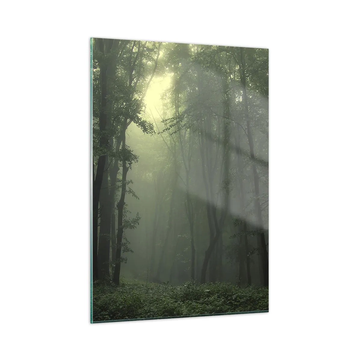 Obraz na skle - Než se probudí - 50x70 cm