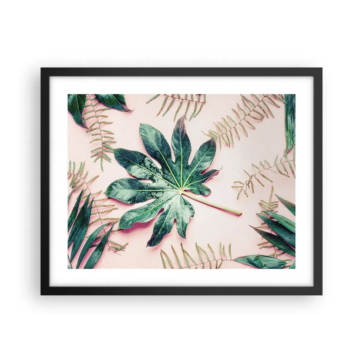 Plakát v černém rámu - Studie zelené na růžovém pozadí - 50x40 cm