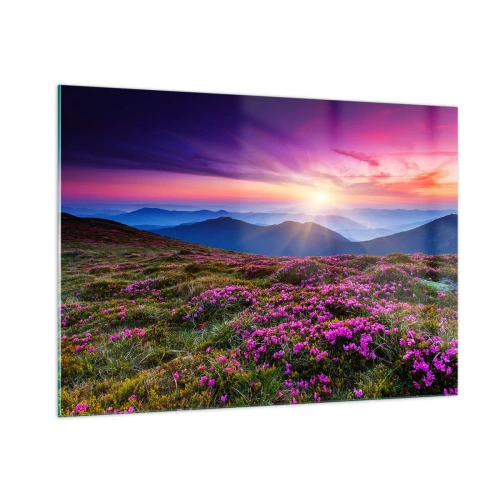 Obraz na skle - Zavoněly svěží pupeny bylinek z obilných polí - 100x70 cm