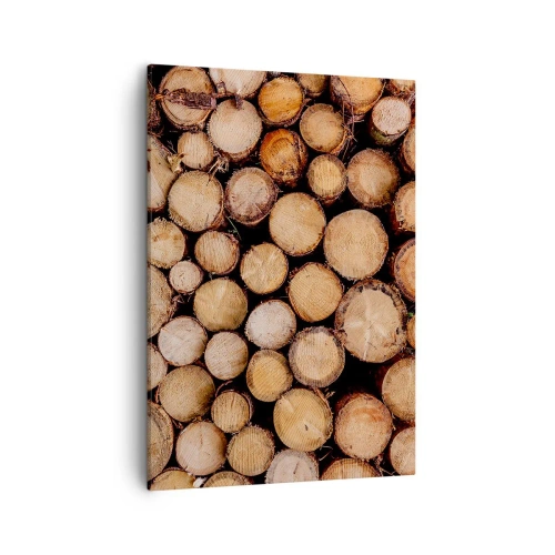 Obraz na plátně - Nový začátek - 50x70 cm