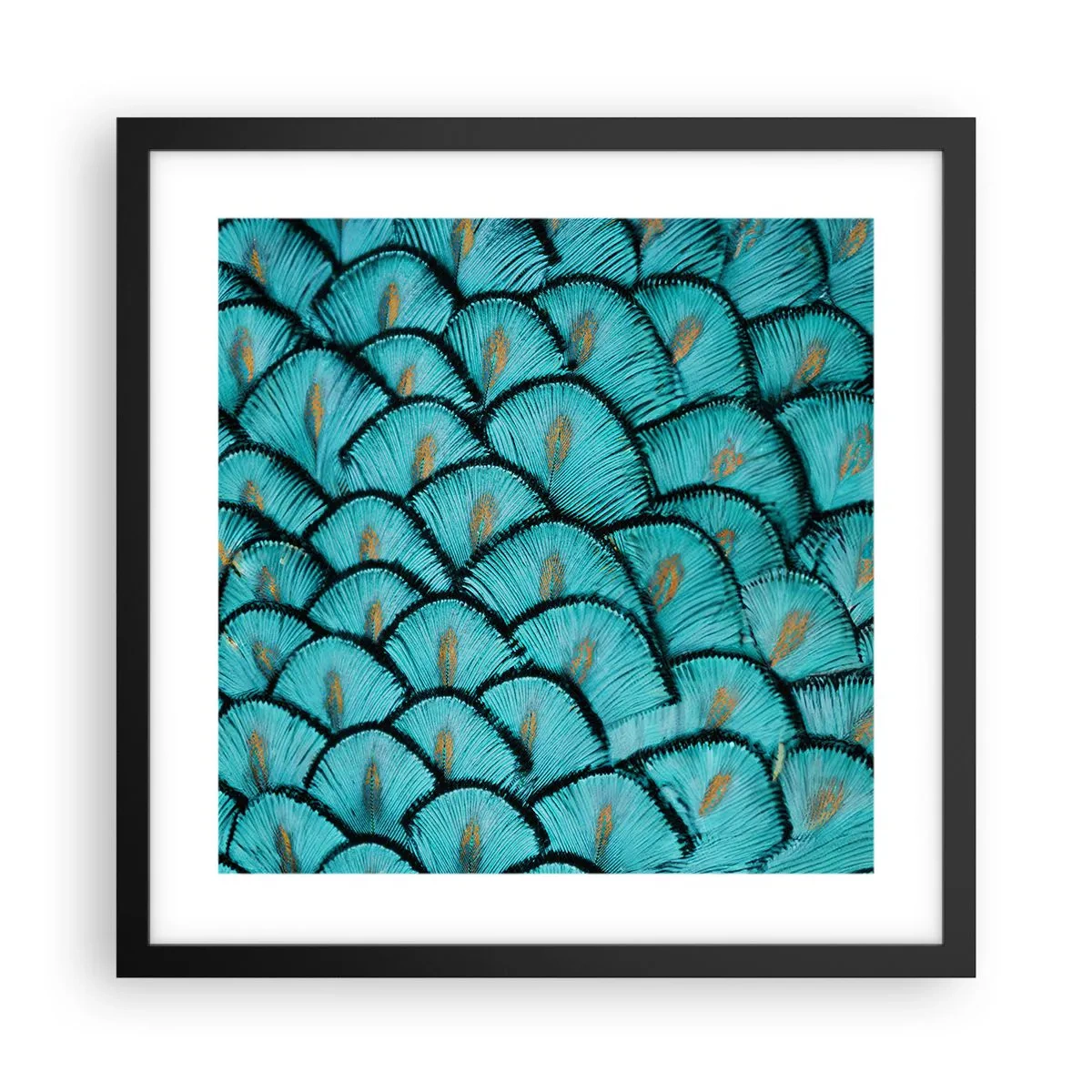 Plakát v černém rámu - Velká slavnost peří - 40x40 cm